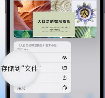 龙湖apple维修中心分享iPhone文件应用中存储和找到下载文件