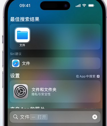 龙湖apple维修中心分享iPhone文件应用中存储和找到下载文件 