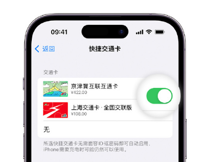 龙湖apple维修点分享iPhone上更换Apple Pay快捷交通卡手绘卡面 