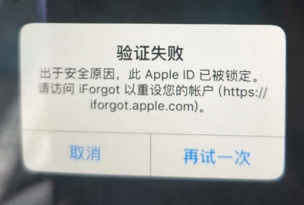 龙湖iPhone维修分享iPhone上正常登录或使用AppleID怎么办 