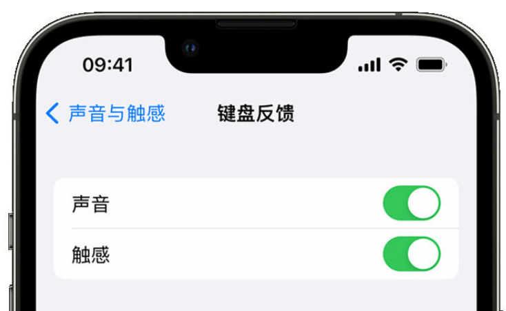 龙湖苹果手机维修分享iPhone 14触感键盘使用方法 