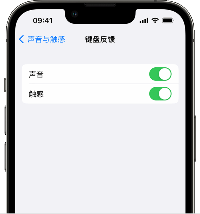 龙湖苹果14维修店分享如何在 iPhone 14 机型中使用触感键盘 