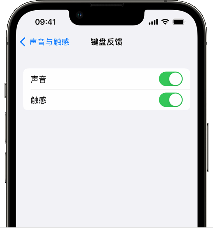 龙湖苹果14维修分享iPhone 14 系列机型如何开启键盘声音或触感反馈 