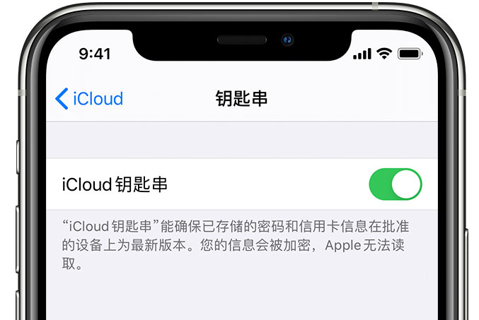 龙湖苹果手机维修分享在 iPhone 上开启 iCloud 钥匙串之后会储存哪些信息 