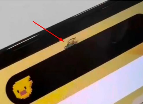 龙湖苹果14维修分享iPhone 14 Pro Max灵动岛怎么养宠物 