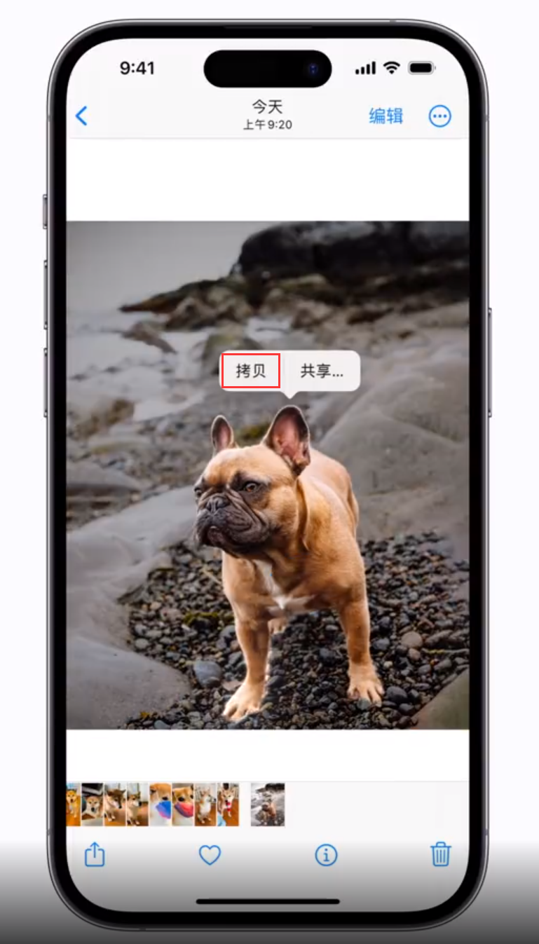 龙湖苹果手机维修分享 iOS 16 自带一键抠图功能 