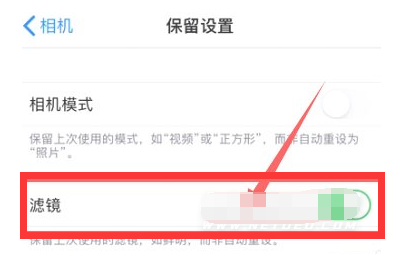 龙湖苹果13维修分享iPhone13拍照有绿点是怎么回事 