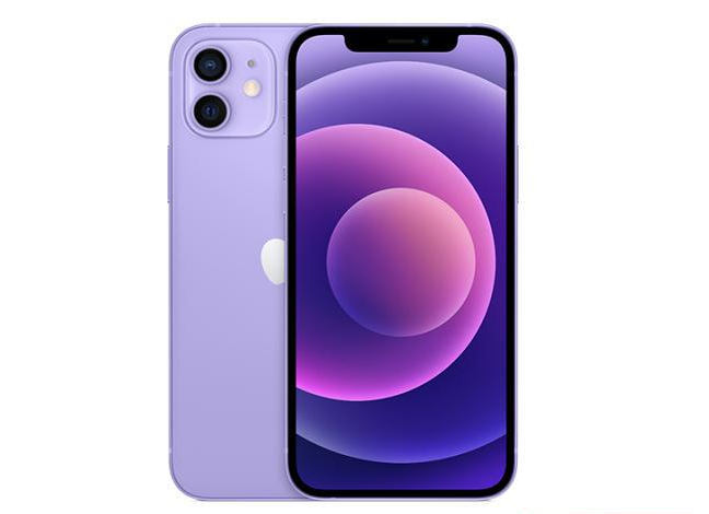 龙湖苹果手机维修分享现阶段要不要入手紫色版iPhone12 
