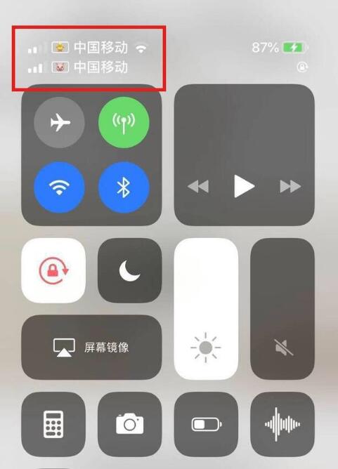 龙湖苹果手机维修分享为 iPhone 12 双卡设置标签 