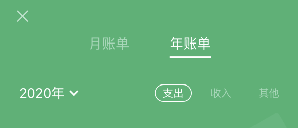 龙湖苹果手机维修分享如何在 iPhone 上查看支付宝和微信年支出账单 