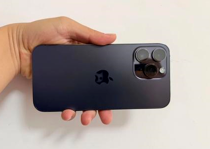 龙湖苹果维修点分享iPhone 14 Pro Max黑屏少见故障盘点 
